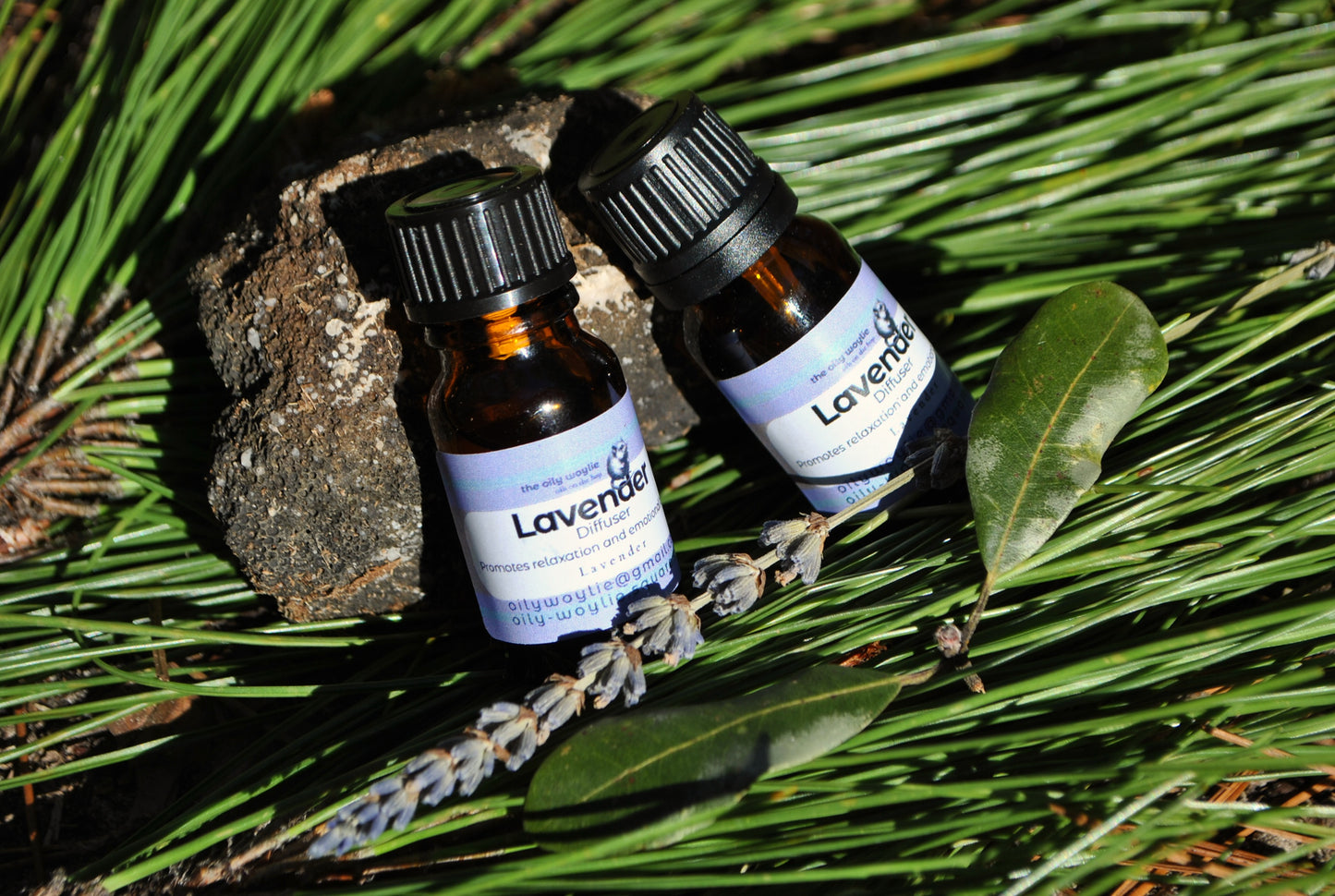 Two bottles of Lavender essential oil on a bed of green leaves and twigs.