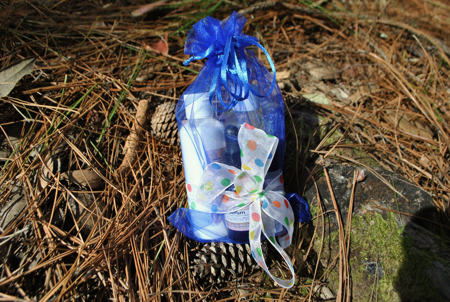 Decorative bottle with blue ribbon and colorful bow on a natural background
