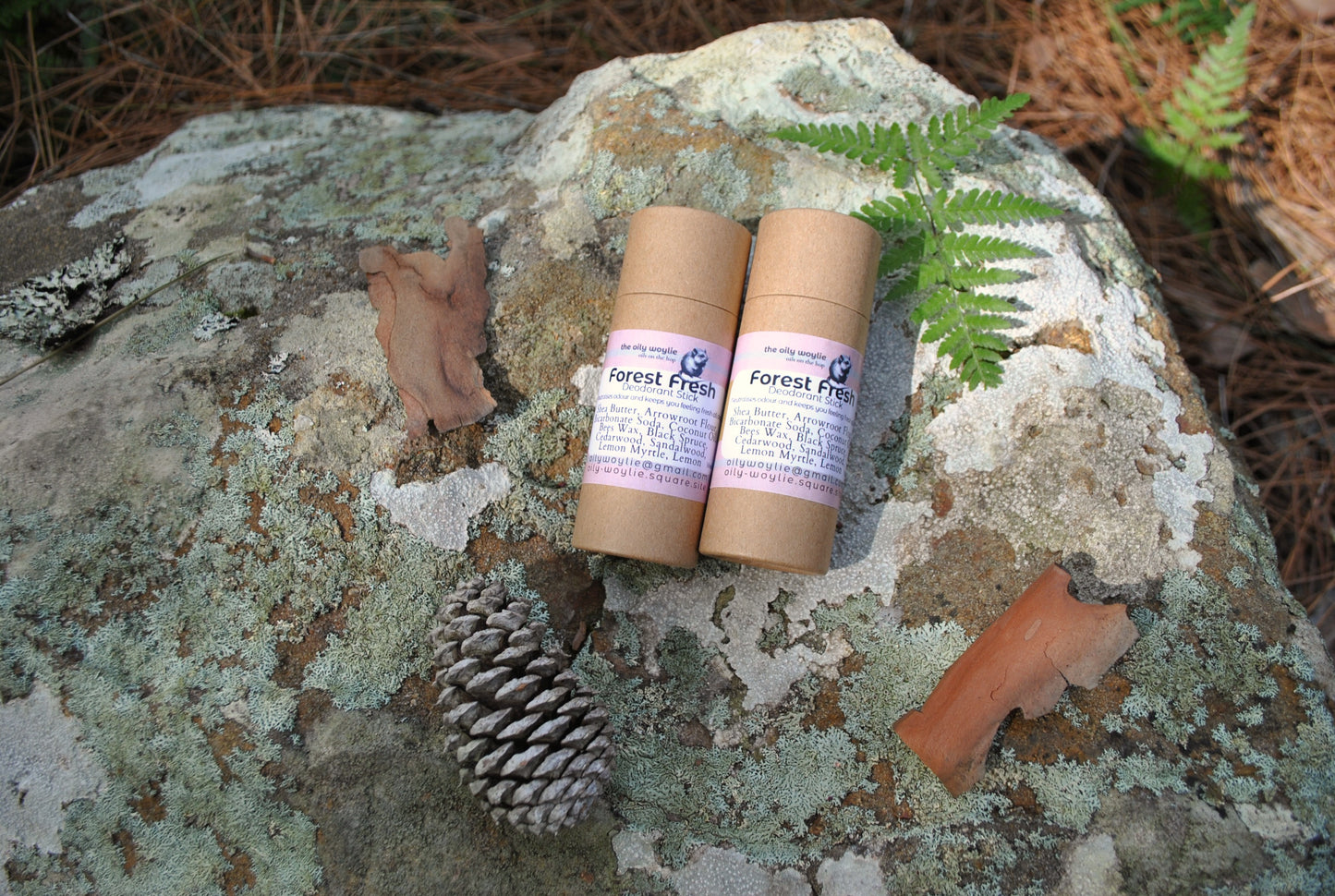 Two cylindrical products labeled 'Forest Fresh' on a textured rock surface with natural elements.