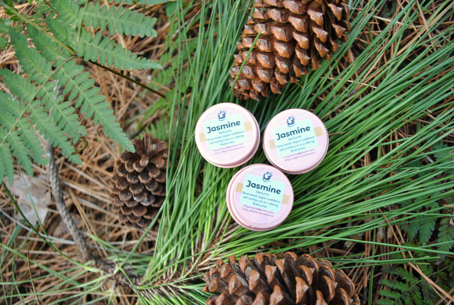 Three small containers labeled 'Jasmine' surrounded by pine cones and green leaves on a natural background