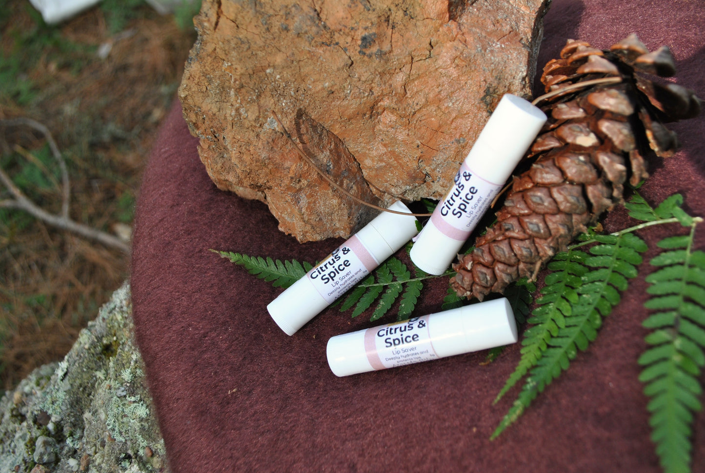 Three lip balms labeled 'Citrus & Spice' on a rock with a pine cone and ferns.