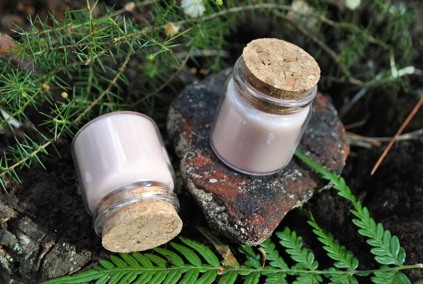 Two small glass jars with cork lids on a natural background with greenery.