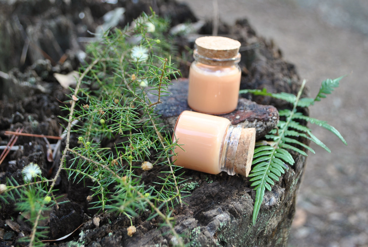 Jar candles sitting on an old stump