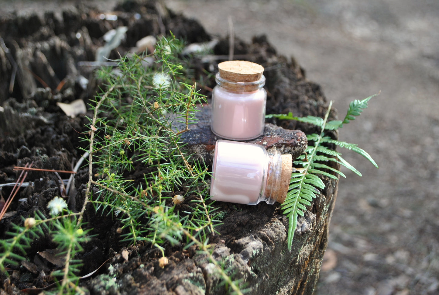 Jar candles sitting on an old stump