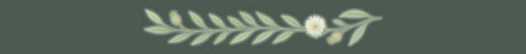 tree branch with a blossom flower