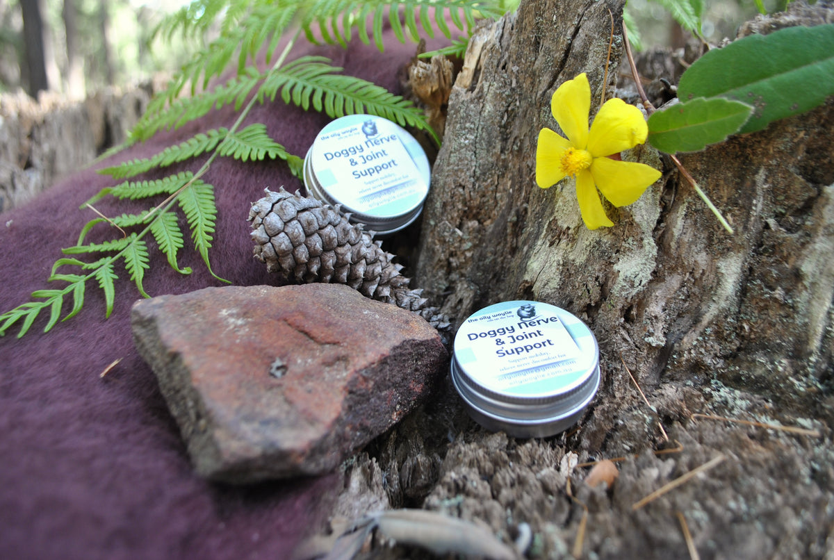 Two tins of Doggy Nerve & Joint Support balm resting on a rustic tree stump with fern leaves, pinecone, and yellow wildflower — natural pet care by The Oily Woylie.