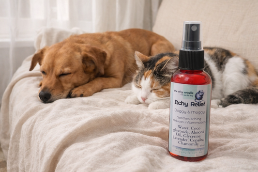When Itchy Days Need a Gentler Answer 🐾