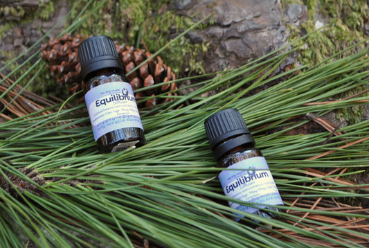 Two bottles of Equilibrium essential oil on a bed of green leaves and pine needles.