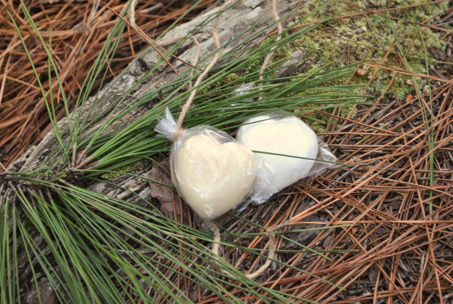 Two bath melts wrapped in clear plastic on a bed of pine needles and branches.