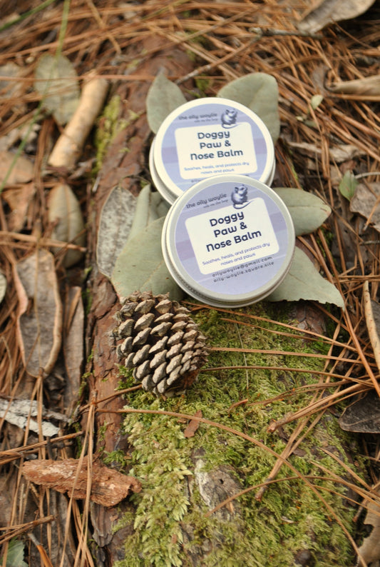 Two tins of Doggy Paw & Nose Balm on a natural background with leaves and a pine cone.