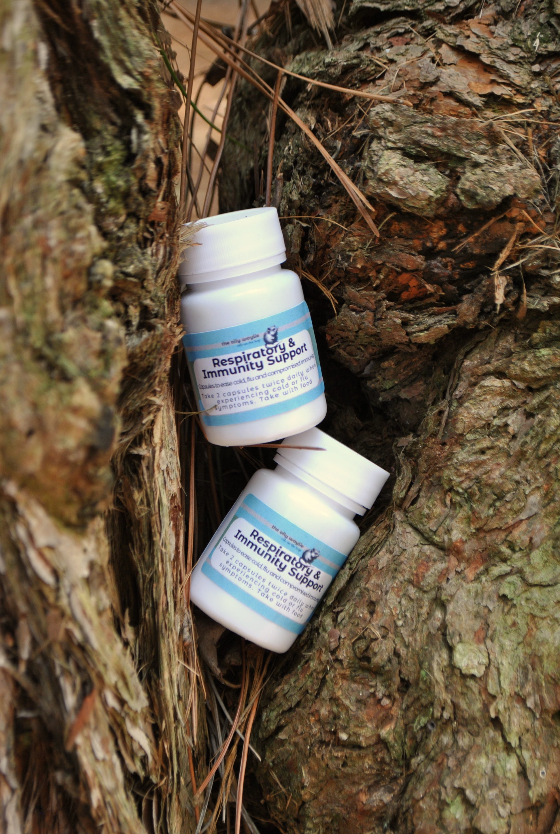 Two white bottles with blue labels on a tree trunk