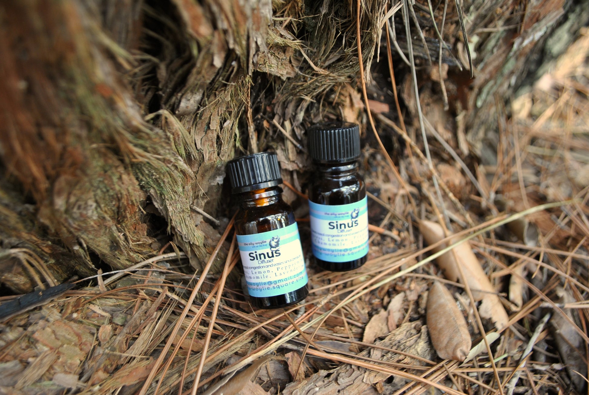 Two small bottles labeled 'Sinus' on a bed of pine needles and branches.