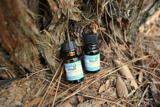 Two small bottles labeled 'Sinus' on a bed of pine needles and branches.