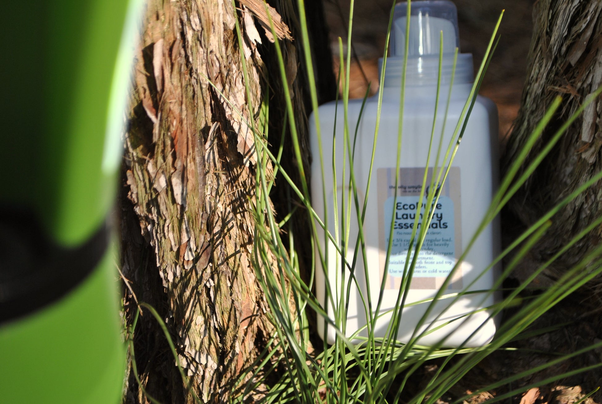 White bottle labeled 'Eco-friendly laundry detergent' among green plants and tree bark.