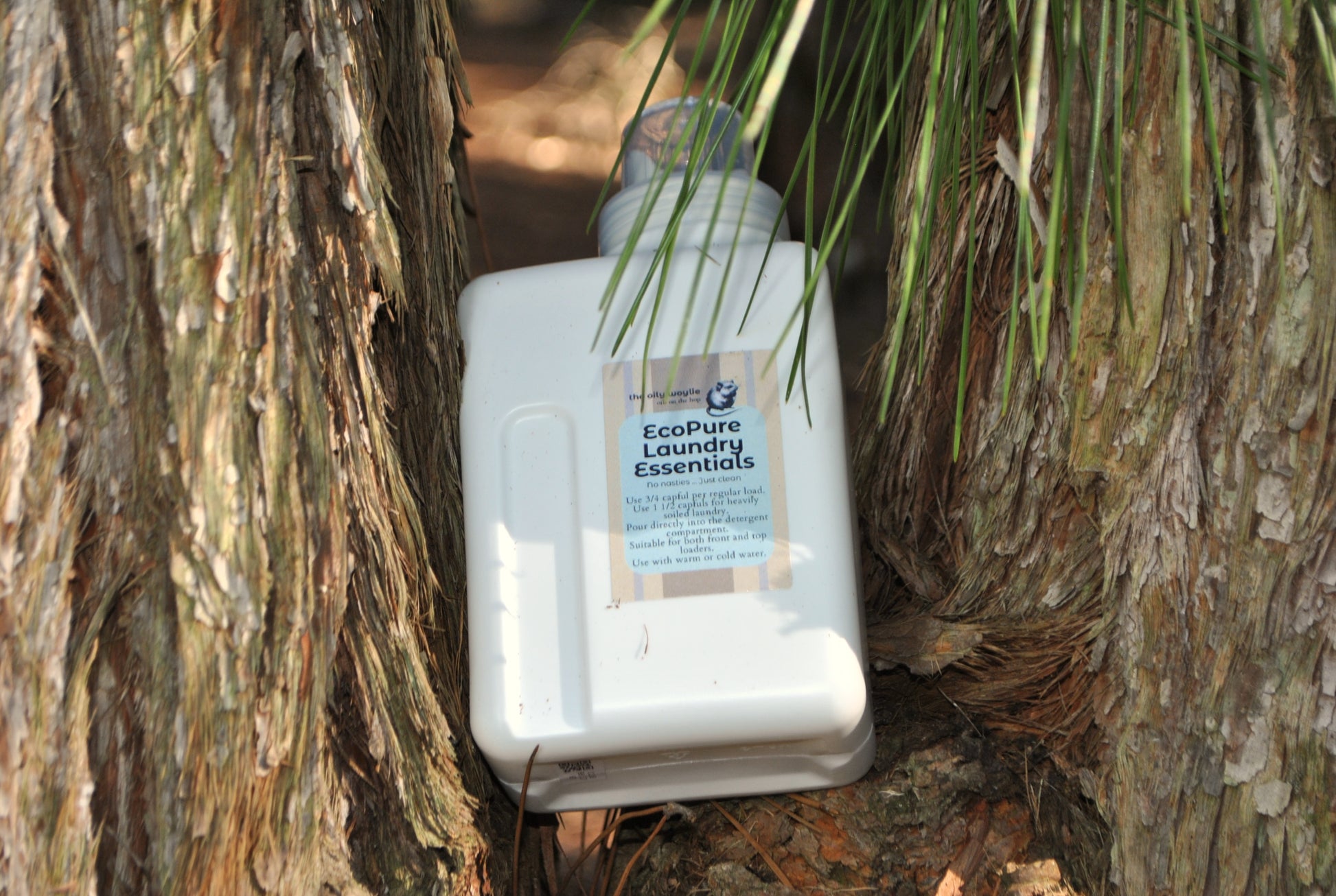 EcoPure product packaging in a natural setting with tree bark and leaves.