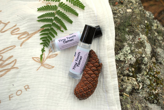 Two Tiny Tooth Tamer products with a pine cone and fern leaf on a textured surface.