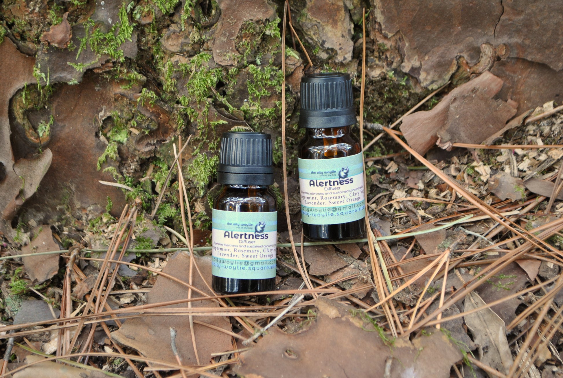 Alert Diffuser Blend essential oil bottle, natural uplifting blend to improve focus and energy on a natural background with moss and leaves.