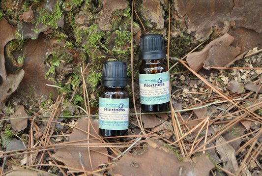 Alert Diffuser Blend essential oil bottle, natural uplifting blend to improve focus and energy on a natural background with moss and leaves.