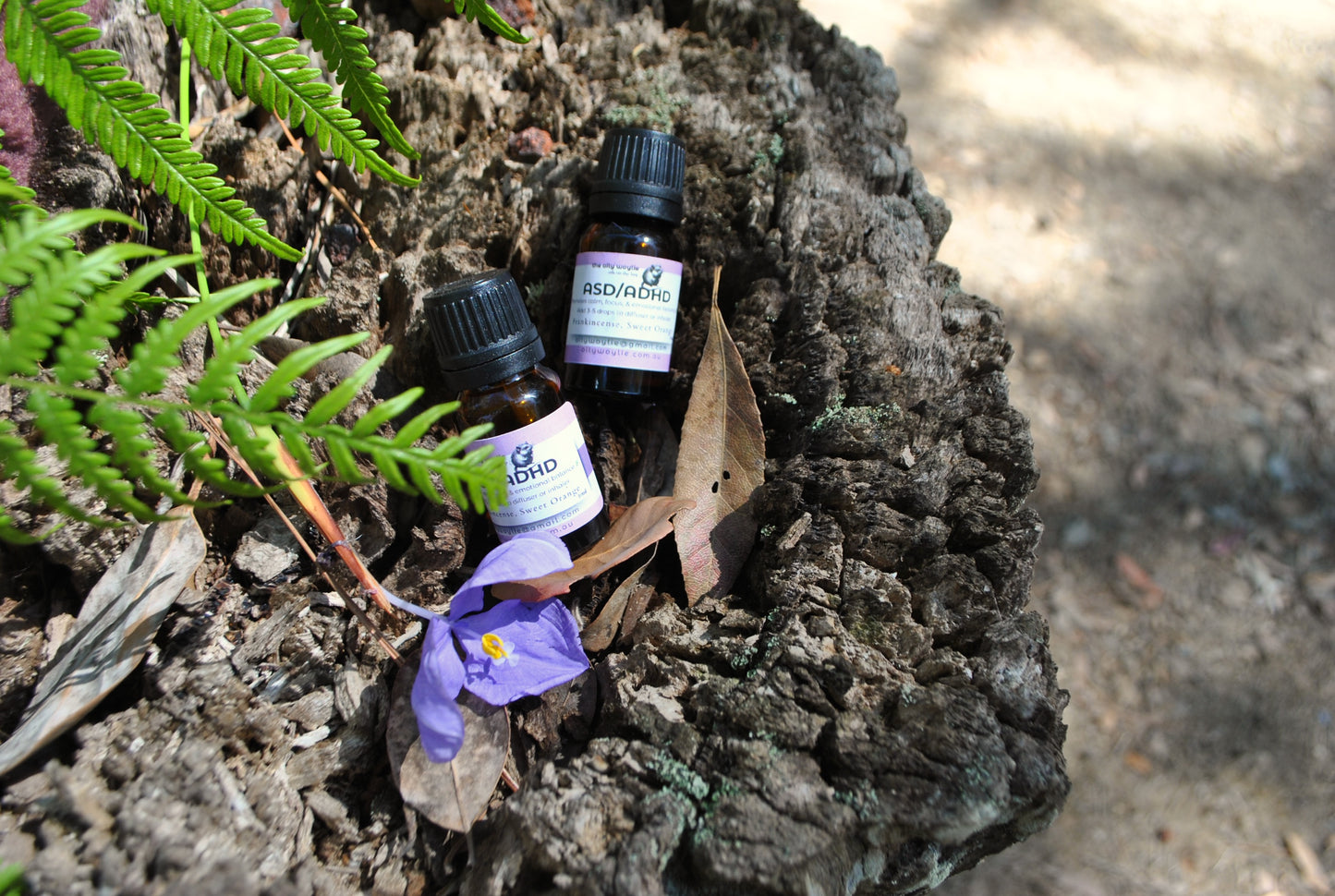 Two bottles of ASD/ADHD essential oil blend resting on a rustic tree stump with a purple wildflower and fern leaves — calming natural focus support by The Oily Woylie.
