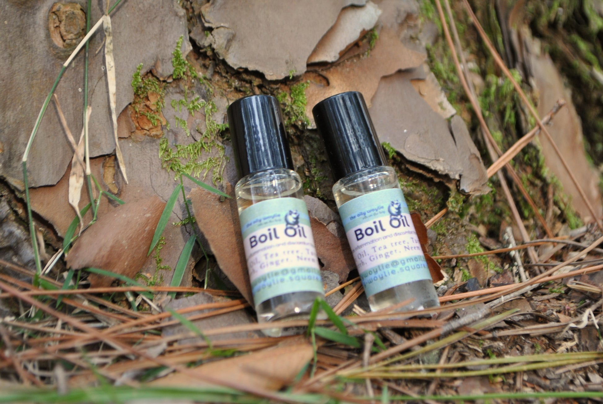 Boil Oil essential oil blend bottle, natural topical support for skin irritation on a natural background with leaves and twigs.
