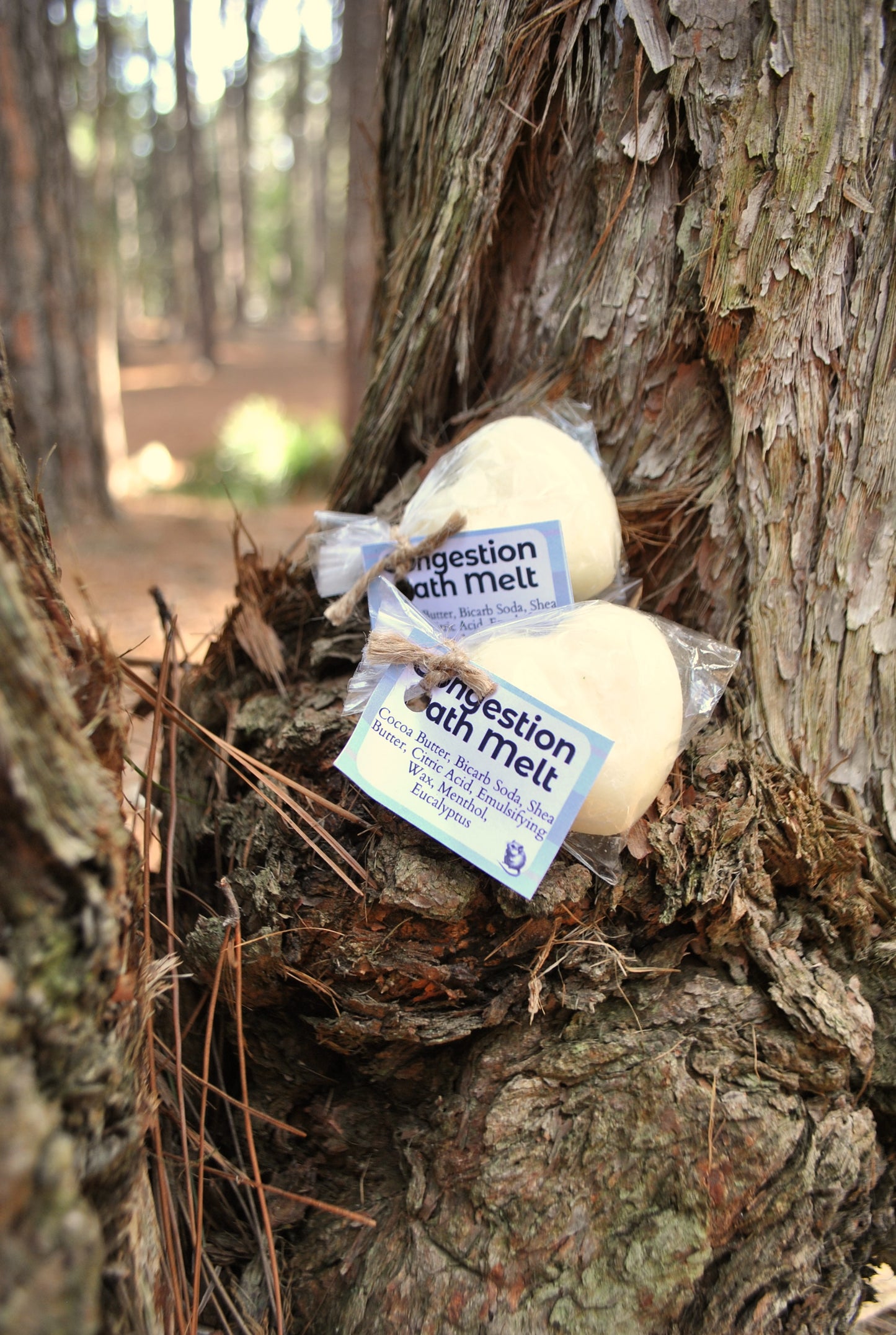 Congestion Bath Melts tablets, natural essential oil bath melts to support clear breathing on a tree trunk