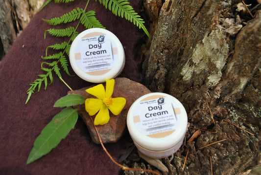 Two jars of Day Cream resting on a tree stump with a yellow wildflower, fern leaves, and gum leaf — bright, natural Aussie bush skincare by The Oily Woylie.