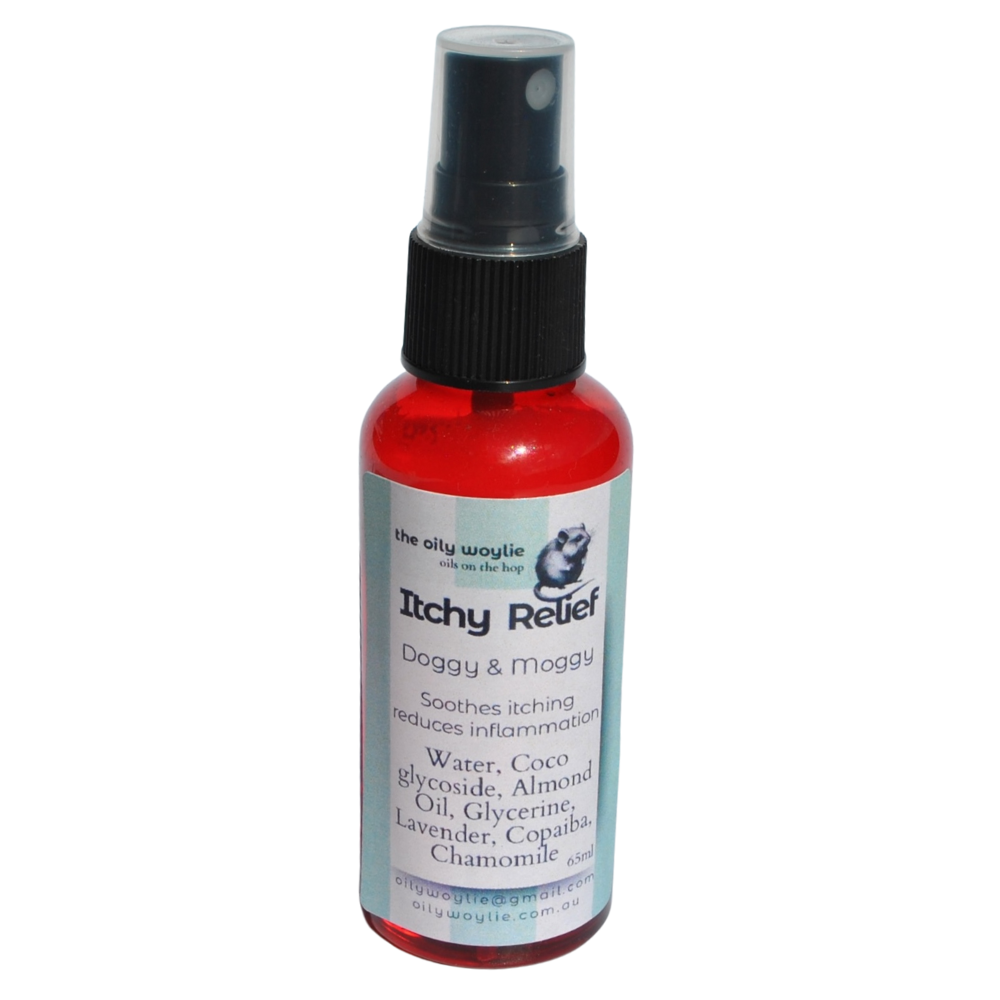 Anti-itch spray for pets to soothe irritated or allergy-prone skin.