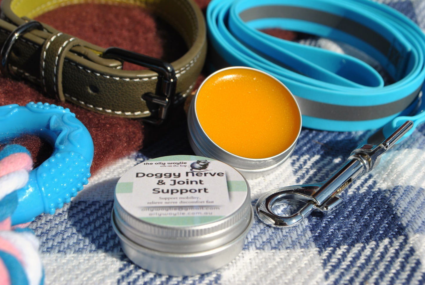 Doggy nerve and joint support balm by The Oily Woylie on a blue checkered blanket with dog lead, collar and toy - natural support for dogs