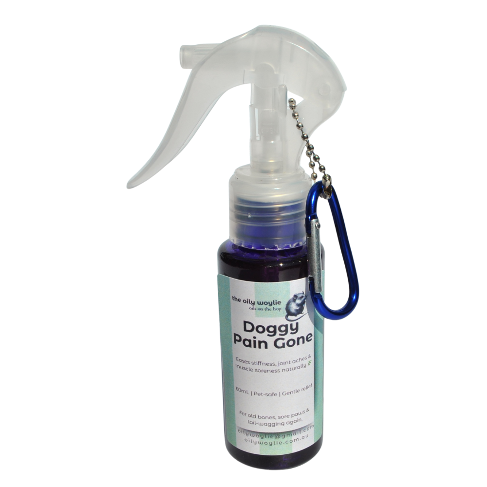 Topical natural pain-relief blend for dogs to ease muscle and joint discomfort.