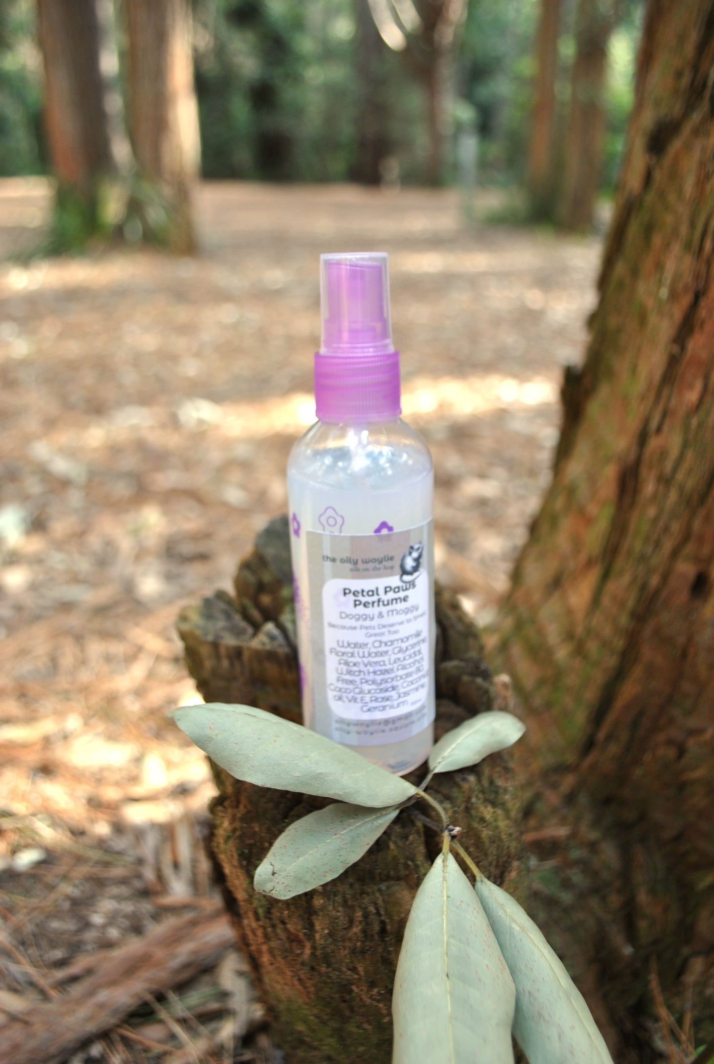 Doggy Perfume Petal Paws, natural floral spray to keep dogs smelling fresh on a stump
