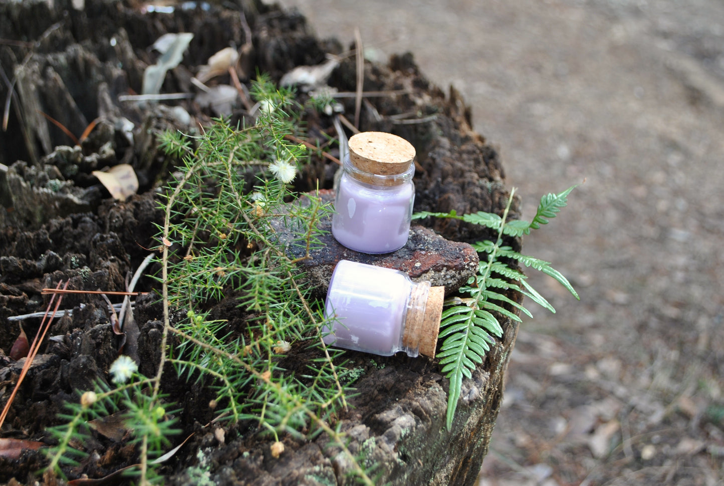 Garden Reverie natural soy tea lights, floral scented candles for relaxation on an old stump