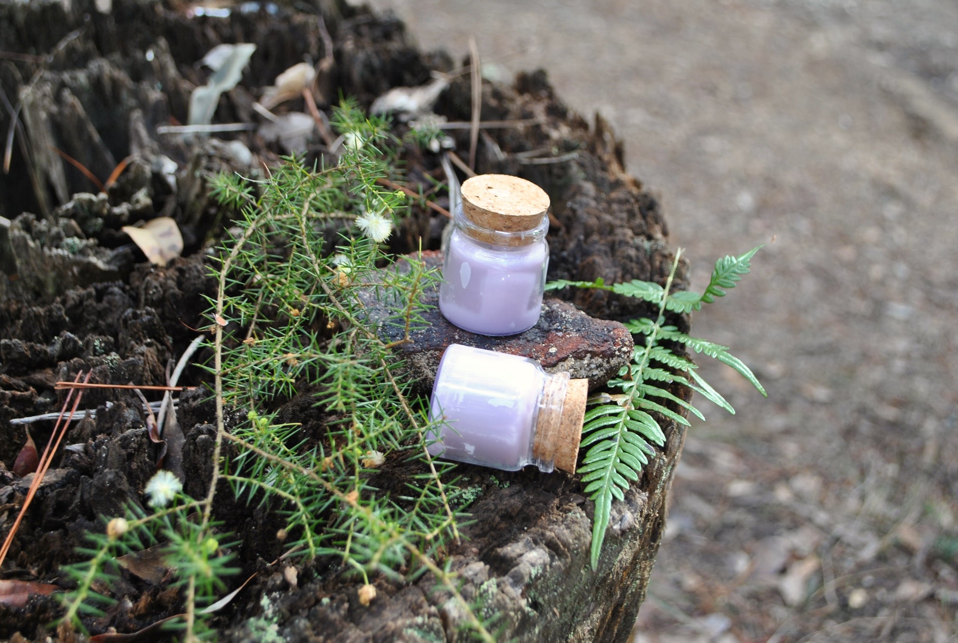 Garden Reverie natural soy tea lights, floral scented candles for relaxation on an old stump