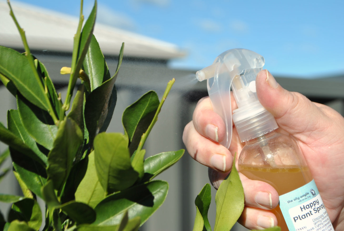 Happy Plant Spray