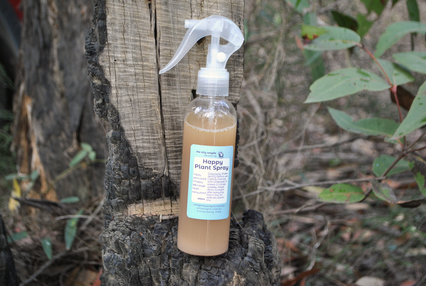 Happy Plant Spray