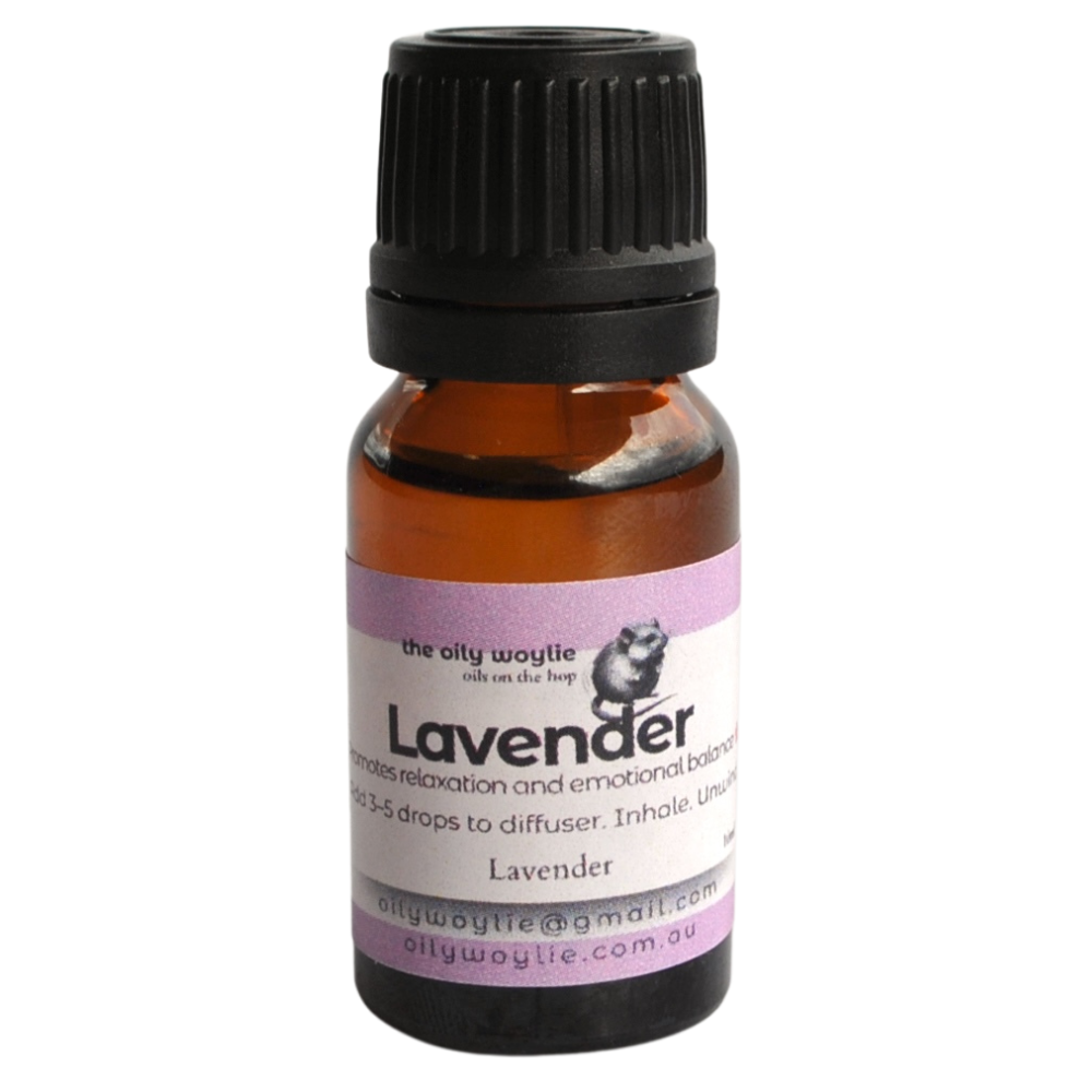 Bottle of lavender essential oil with a black cap on a white background