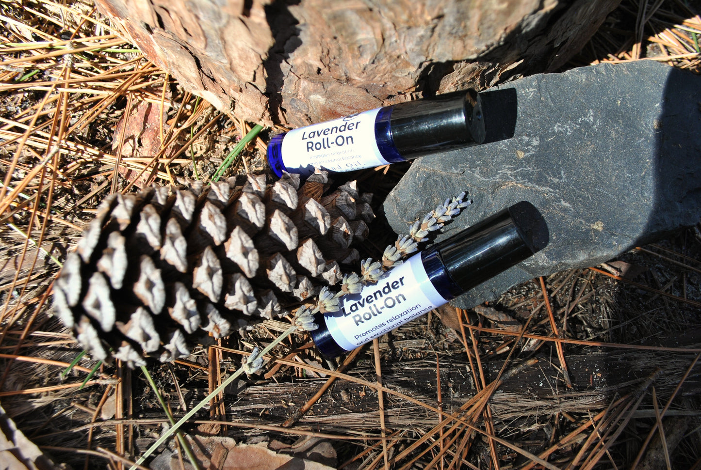 Lavender Roll essential oil roller blend, natural calming support on a pine cone and leaf with a black rock in the background.