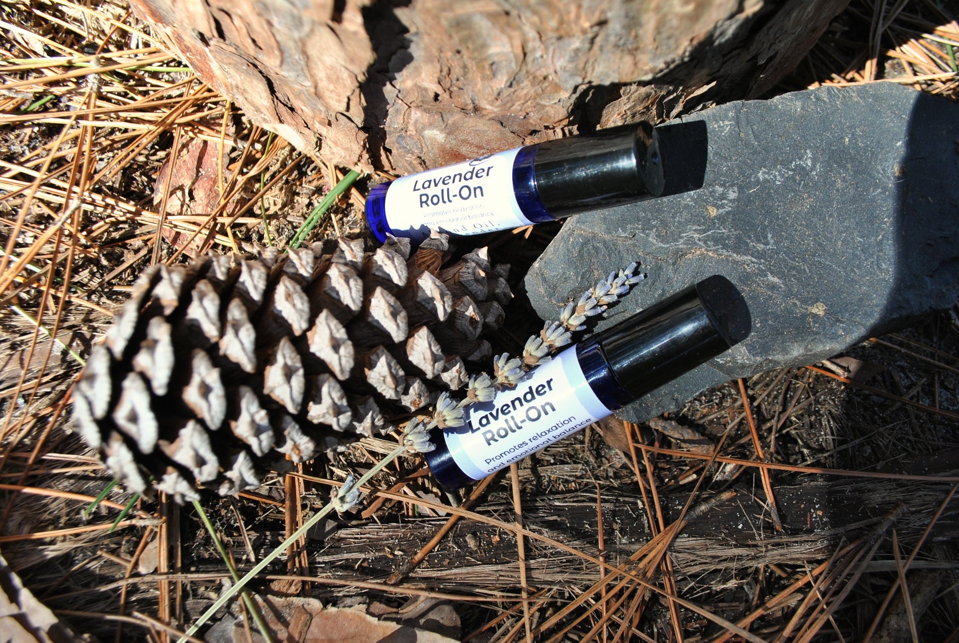 Lavender Roll essential oil roller blend, natural calming support on a pine cone and leaf with a black rock in the background.