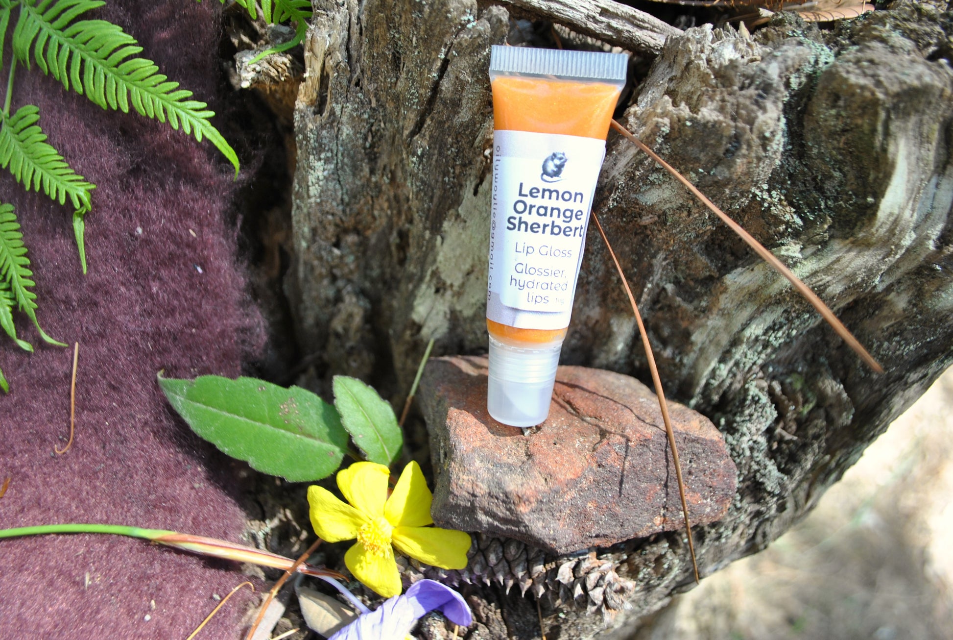 Lemon Orange Sherbet Lip Gloss by The Oily Woylie resting on rustic bark with fern leaves and yellow wildflower — bright citrus gloss with natural hydration and shine.