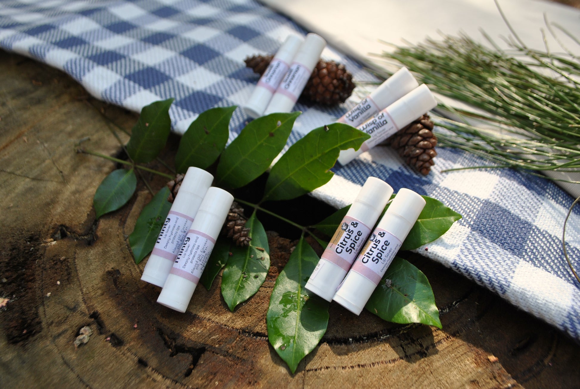 Lip Saver family collection – Citrus & Spice, Minty, Sweet Cinnamon, and Wisp of Vanilla natural lip balms on a wooden surface with leaves and pine cones