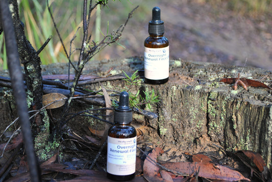 Overnight Renewal Face Oil