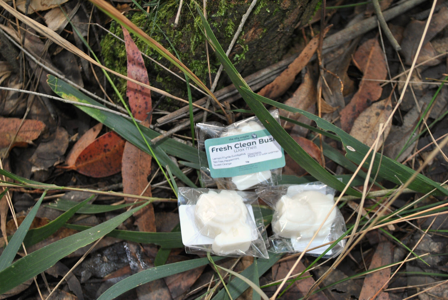 Wax Melts
