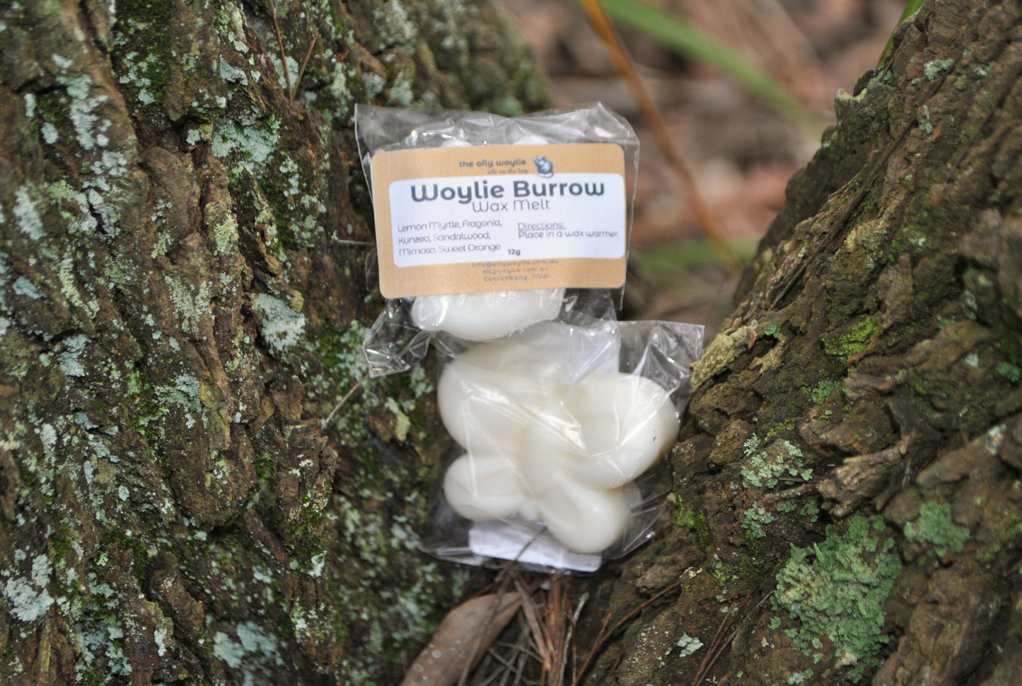 Wax Melts