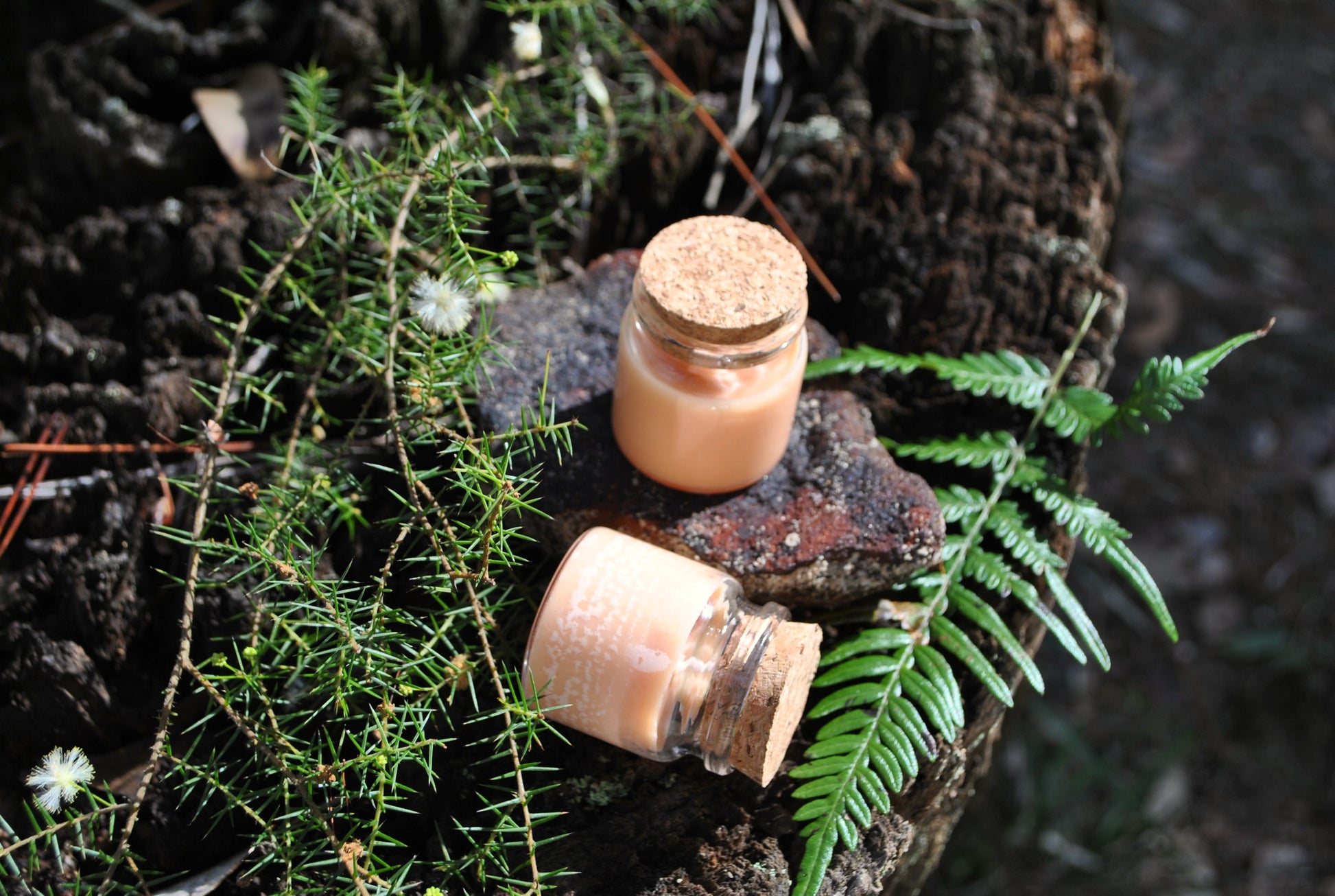 Woodland Whisper natural soy tea lights, earthy scented candles with forest notes on an old stump