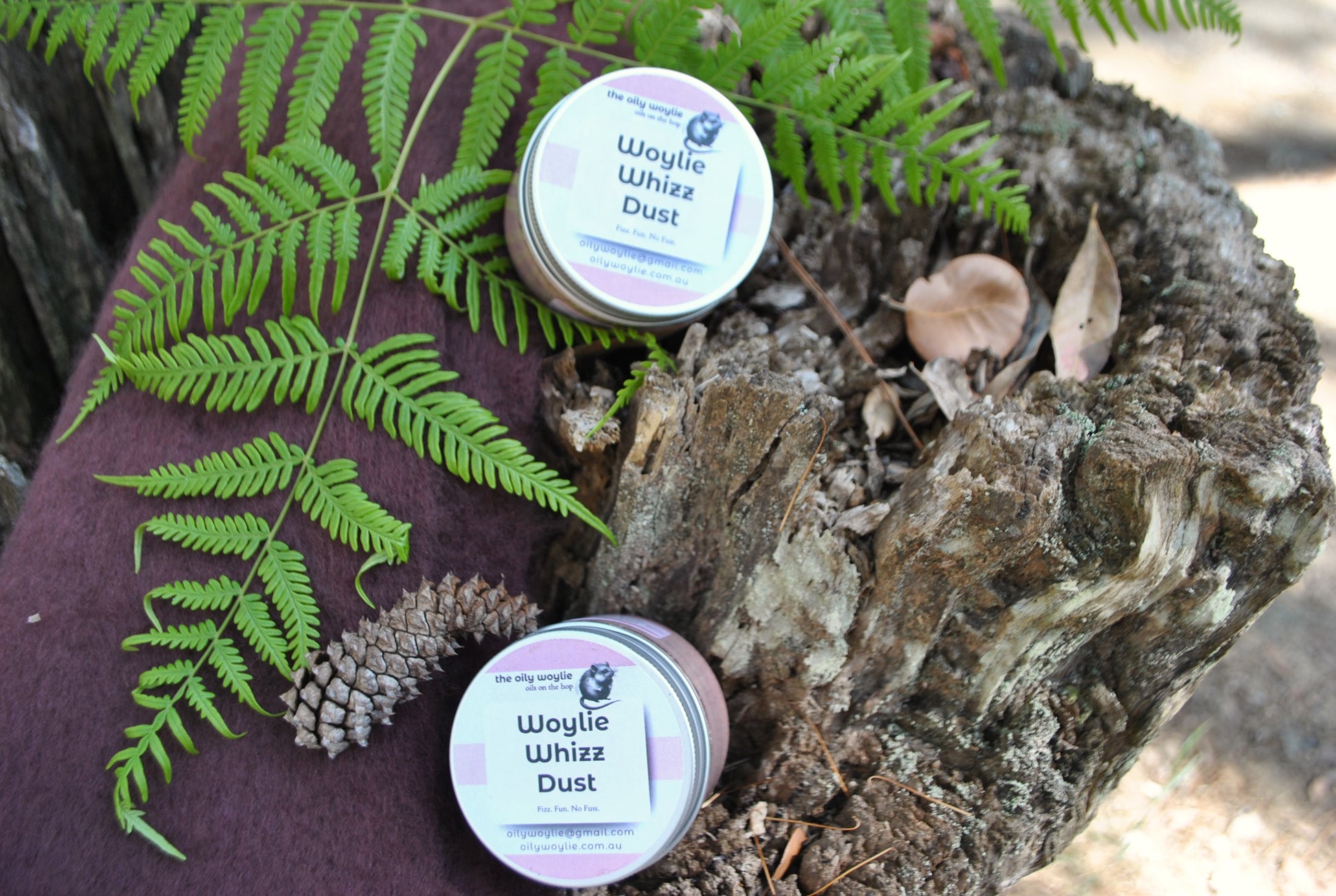 Two tins of Woylie Whizz Dust bath fizz resting on a rustic tree stump with green fern leaves and pine cone — natural bush setting by The Oily Woylie.